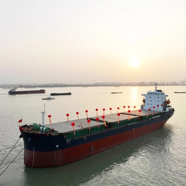 Portarinfuse personalizzato a doppio scafo con gru 