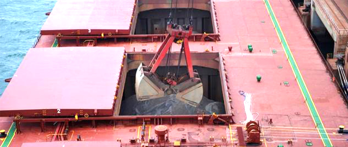 Pinza per portarinfuse per carico