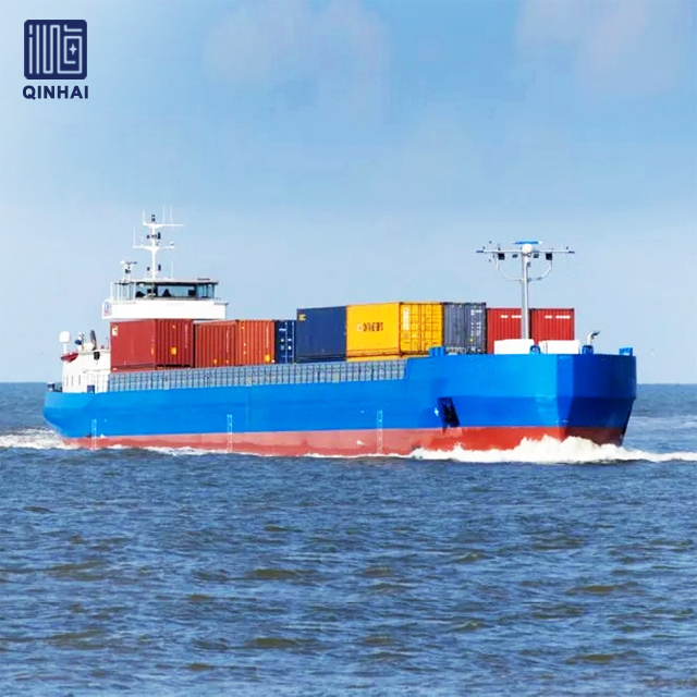 Nave portacontainer personalizzata del cantiere navale Qinhai per il trasporto 