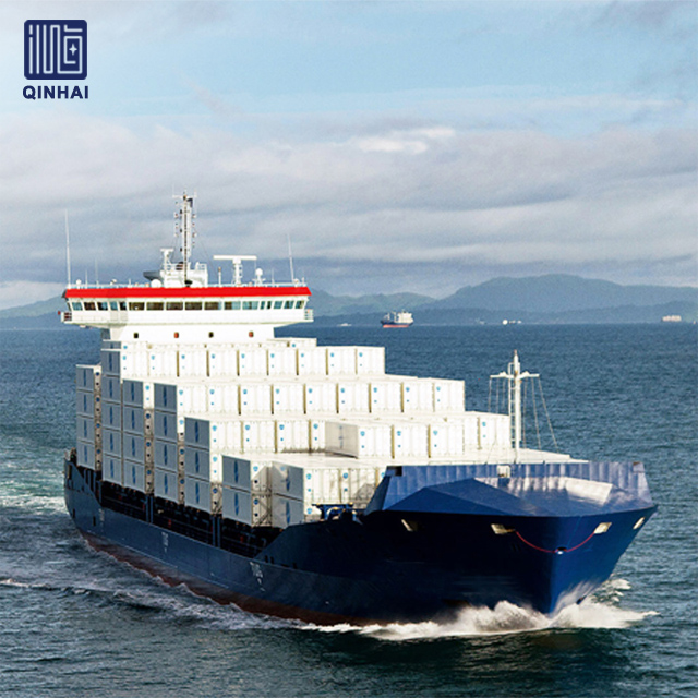 Nave portacontainer personalizzata del cantiere navale Qinhai per il trasporto 