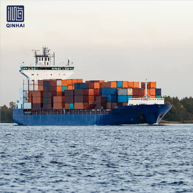 Nave portacontainer multiuso ultra grande per il trasporto 