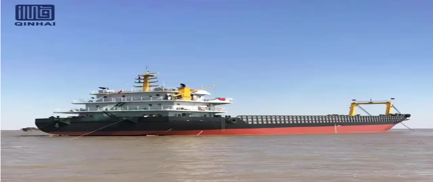Navi da carico LCT: trasporto versatile di merci sfuse e pesanti